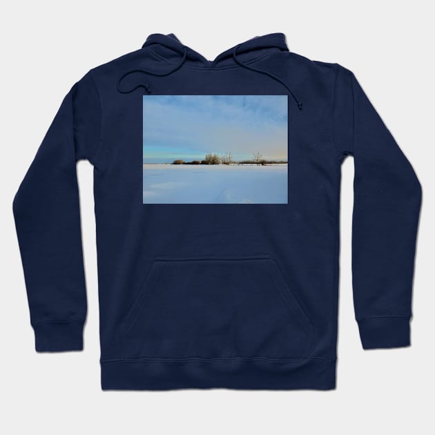 Alberta Winter 01 Hoodie by Kyarwon